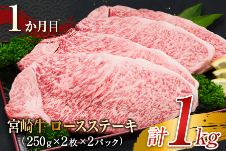 3か月 お楽しみ 定期便 宮崎牛 堪能 セット 合計3kg 肉 牛 牛肉 黒毛和牛 ロース 肩ロース モモ ステーキ しゃぶしゃぶ 国産 おかず 食品 焼肉 送料無料_KF1-23