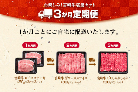 ≪3か月お楽しみ定期便≫宮崎牛堪能セット(合計3kg) 肉 牛 牛肉 国産