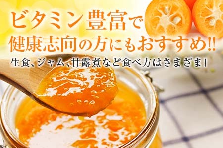 年内発送 食べ応え抜群 大玉 きんかん 計2kg以上 傷み補償分付き 数量限定 期間限定 フルーツ 果物 くだもの 柑橘 金柑 先行予約 国産 希少 人気 おすすめ ジャム おやつ デザート 小分け おすそ分け 贈り物 ギフト 贈答 ご褒美 産地直送 宮崎県 日南市 送料無料_B233-24