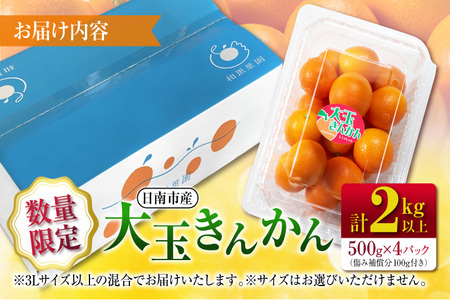 年内発送 食べ応え抜群 大玉 きんかん 計2kg以上 傷み補償分付き 数量限定 期間限定 フルーツ 果物 くだもの 柑橘 金柑 先行予約 国産 希少 人気 おすすめ ジャム おやつ デザート 小分け おすそ分け 贈り物 ギフト 贈答 ご褒美 産地直送 宮崎県 日南市 送料無料_B233-24