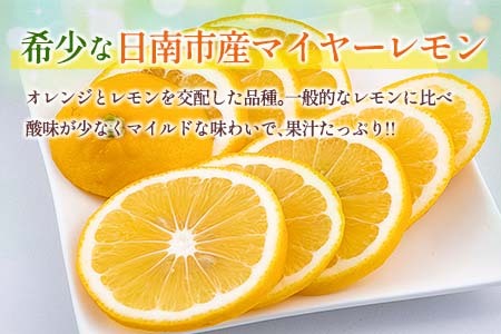 先行予約 マイヤーレモン 計3kg以上 希少 国産レモン 果物 くだもの フルーツ 檸檬 柑橘 期間限定 数量限定 おすすめ ジュース 飲み物 サラダ 調味料 焼肉 バーベキュー BBQ デザート おすそ分け 産地直送 食品 贈り物 お土産 宮崎県 日南市 送料無料_AV3-25