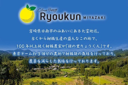 先行予約 新感覚シトラス 黄金柑 おうごんかん 計3kg以上 令和8年発送 期間限定 数量限定 希少 果物 くだもの フルーツ 国産 食品 柑橘 みかん 蜜柑 ゴールデンオレンジ デザート おやつ おすすめ おすそ分け 手土産 ギフト 贈り物 宮崎県 日南市 送料無料_AAV8-25