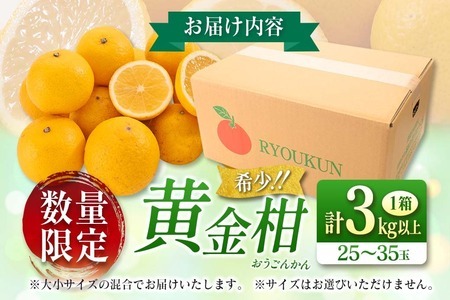 先行予約 新感覚シトラス 黄金柑 おうごんかん 計3kg以上 令和8年発送 期間限定 数量限定 希少 果物 くだもの フルーツ 国産 食品 柑橘 みかん 蜜柑 ゴールデンオレンジ デザート おやつ おすすめ おすそ分け 手土産 ギフト 贈り物 宮崎県 日南市 送料無料_AAV8-25