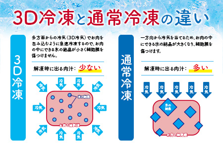 数量限定 宮崎牛 6種 食べ比べ 焼肉 セット 合計600g 牛肉 ビーフ 黒毛和牛 ミヤチク 3D冷凍 国産 ヒレ 肩ロース ウデ バラ モモ ブランド牛 おかず 食品 お取り寄せ グルメ 鉄板焼き 焼き肉 希少部位 上品 高級 贅沢 ご褒美 お祝 宮崎県 日南市 送料無料_DC16-23