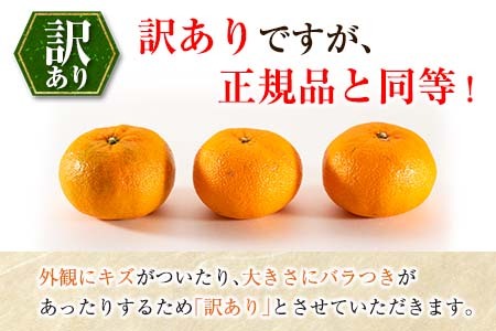 先行予約 訳あり 西南のひかり 5kg ご家庭用 みかん オレンジ フルーツ 果物 くだもの 柑橘 果実 果肉 デザート おやつ 国産 食品 おすそ分け おすそわけ 自宅用 人気 おすすめ 宮崎県 日南市 送料無料_BA82-24