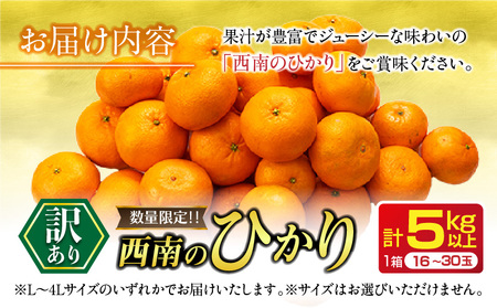 先行予約 訳あり 西南のひかり 5kg ご家庭用 みかん オレンジ フルーツ 果物 くだもの 柑橘 果実 果肉 デザート おやつ 国産 食品 おすそ分け おすそわけ 自宅用 人気 おすすめ 宮崎県 日南市 送料無料_BA82-24