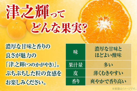 先行予約 訳あり 数量限定 津之輝 つのかがやき 5kg以上 (5kg×1箱) フルーツ 果物 くだもの 柑橘 みかん 国産 食品 おすすめ 訳アリ ご家庭用 ご自宅用 B品 傷 おすそ分け デザート おやつ フルーツサンド ジュース 宮崎県 日南市 送料無料_BB86-23