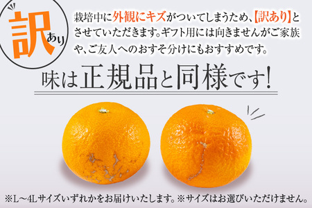 先行予約 訳あり 数量限定 津之輝 つのかがやき 5kg以上 (5kg×1箱) フルーツ 果物 くだもの 柑橘 みかん 国産 食品 おすすめ 訳アリ ご家庭用 ご自宅用 B品 傷 おすそ分け デザート おやつ フルーツサンド ジュース 宮崎県 日南市 送料無料_BB86-23