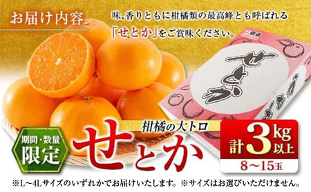 数量限定 柑橘の大トロ せとか 計3kg以上 先行予約 フルーツ 果物 くだもの 柑橘 みかん オレンジ 期間限定 2025 希少 フルーツサンド フルーツ大福 国産 食品 おすすめ デザート おやつ ギフト 贈り物 贈答 宮崎県 日南市 送料無料_CC29-23