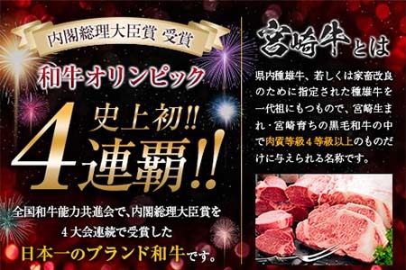 C65-21 宮崎牛肩(ウデ)スライス(計1kg)　肉　牛　牛肉