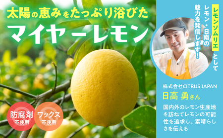 レモンピール 計300g_BA24-21