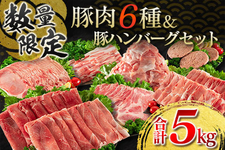 数量限定 豚肉 6種 豚ハンバーグ セット 合計5kg ポーク 国産 ミヤチク スライス 小間切れ 豚ウデ 豚モモ 豚バラ 豚ロース 万能食材 大容量 小分け おかず お弁当 おつまみ 食品 生姜焼き 炒め物 ご褒美 お祝い 記念日 お取り寄せ 詰め合わせ 送料無料_DC13-23