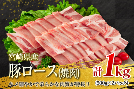 数量限定 豚 焼肉 セット 合計3kg 肉 豚肉 バラ ロース 国産 宮崎県産 おかず 食品 焼き肉 BBQ 送料無料_D88-23