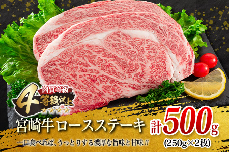 宮崎牛 ロース ステーキ 黒毛和牛 小間切れ セット 合計600g 牛肉 ビーフ 国産 万能食材 ブランド牛 おかず お弁当 おつまみ 食品 おすすめ 焼肉 バーベキュー 鉄板焼き 高級 ご褒美 お祝 記念日 お取り寄せ グルメ 冷凍 詰め合わせ 宮崎県 日南市 送料無料_F62-21