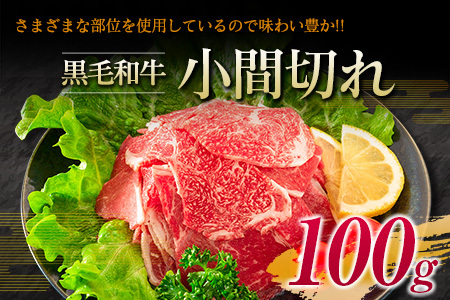 宮崎牛 ロース ステーキ 黒毛和牛 小間切れ セット 合計600g 牛肉 ビーフ 国産 万能食材 ブランド牛 おかず お弁当 おつまみ 食品 おすすめ 焼肉 バーベキュー 鉄板焼き 高級 ご褒美 お祝 記念日 お取り寄せ グルメ 冷凍 詰め合わせ 宮崎県 日南市 送料無料_F62-21
