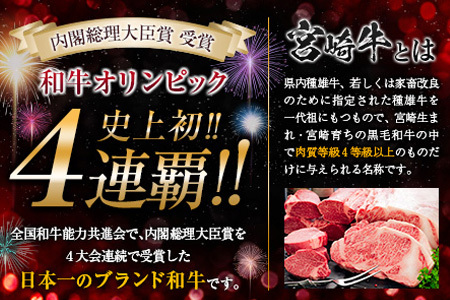宮崎牛 ロース ステーキ 黒毛和牛 小間切れ セット 合計600g 牛肉 ビーフ 国産 万能食材 ブランド牛 おかず お弁当 おつまみ 食品 おすすめ 焼肉 バーベキュー 鉄板焼き 高級 ご褒美 お祝 記念日 お取り寄せ グルメ 冷凍 詰め合わせ 宮崎県 日南市 送料無料_F62-21