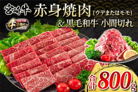 宮崎牛 赤身 焼肉 黒毛和牛 小間切れ セット 合計800g 肉 牛 牛肉 モモ