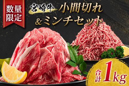 数量限定 宮崎牛 小間切れ ミンチ セット 合計1kg 牛肉 ビーフ 黒毛和牛 国産 ブランド牛 食品 こま切れ 牛ミンチ 挽肉 万能食材 ハンバーグ おすすめ おかず おつまみ お弁当 ご褒美 お祝い 記念日 詰め合わせ お取り寄せ グルメ 宮崎県 日南市 送料無料_BB126-23