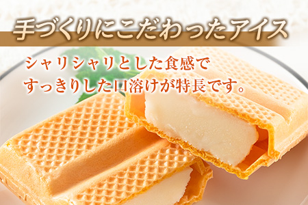≪手作りアイス≫モナカセット(計16個)　スイーツ　お菓子　最中　なかつや BA67-23