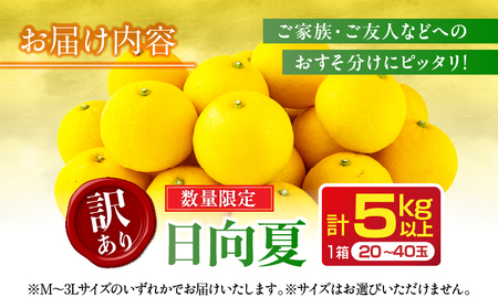 オンライン決済限定 訳あり 日向夏 計5kg以上_BB98-23