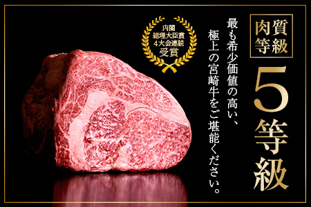 数量限定≪5等級≫宮崎牛サーロインステーキ計400g(200g×2枚)　肉　牛　牛肉　国産 CC21-22