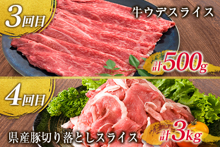 年末年始限定 5か月 お楽しみ 定期便 宮崎牛 ＆ 県産豚 セット 総重量5.9kg 肉 牛肉 豚肉 国産 5回 すき焼き しゃぶしゃぶ 牛丼 焼肉 黒毛和牛 和牛 スライス とんかつ用 切り落とし 肩ロース ウデ モモ おすすめ おかず お弁当 宮崎県 日南市 送料無料_JH1-24