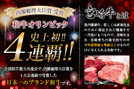 年末年始限定 5か月 お楽しみ 定期便 宮崎牛 ＆ 県産豚 セット 総重量5.9kg 肉 牛肉 豚肉 国産 5回 すき焼き しゃぶしゃぶ 牛丼 焼肉 黒毛和牛 和牛 スライス とんかつ用 切り落とし 肩ロース ウデ モモ おすすめ おかず お弁当 宮崎県 日南市 送料無料_JH1-24