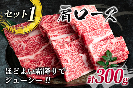 数量限定 宮崎牛 3種 お試し 焼肉 セット 合計900g 牛肉 ビーフ 肩ロース バラ モモ 黒毛和牛 ミヤチク 国産 ブランド牛 食品 高級 贅沢 上質 ご褒美 バーベキュー BBQ 鉄板焼き お祝 詰め合わせ お取り寄せ グルメ おかず おすすめ 宮崎県 日南市 送料無料_DB23-23