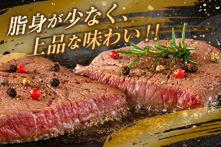 【令和6年7月配送】数量限定 超希少 宮崎牛 ヒレステーキ 計360g 肉 牛 牛肉 ステーキ 人気 ヒレ 赤身 国産 食品 配送月が選べる_EC9-23-07