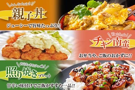 訳あり 数量限定 6か月 お楽しみ 定期便 若鶏 切り身 IQF セット もも肉 むね肉 総重量19.2kg 肉 鶏 鶏肉 国産 おかず 食品 お肉 チキン アウトレット 送料無料_K15-23