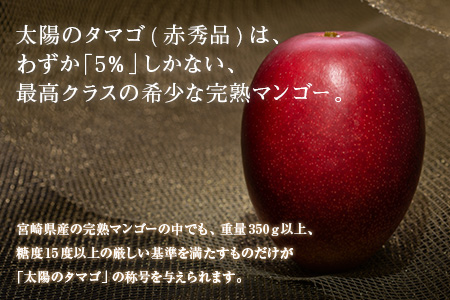 H7-191 ≪期間・数量限定≫超希少!!完熟マンゴー「太陽のタマゴ(赤秀品)」4L×2玉 フルーツ 果物