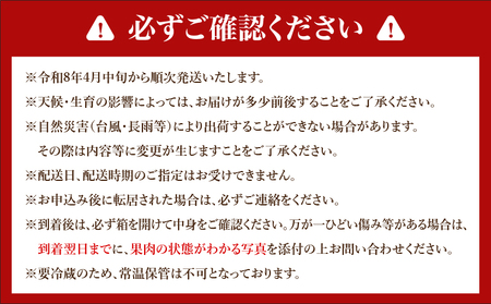 完熟マンゴー 太陽のタマゴ 赤秀品 4L × 2玉 期間限定 数量限定 マンゴー 宮崎 フルーツ 果物 くだもの 国産 食品 先行予約 2026 令和8年発送 濃厚 デザート おやつ おすすめ 冷蔵 ご褒美 贅沢 おすそわけ 化粧箱入り ギフト 贈り物 贈答 日南市 送料無料_H7-191