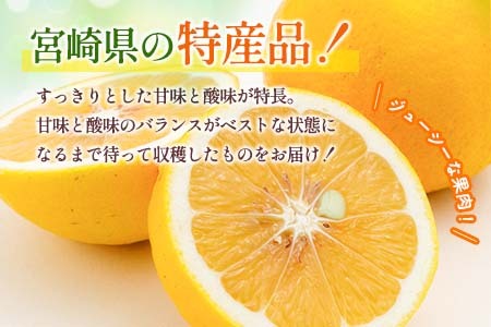 数量限定 恋する日向夏 計3kg以上 フルーツ 果物 柑橘 みかん 日向夏 国産 食品 デザート 送料無料_AA53-23
