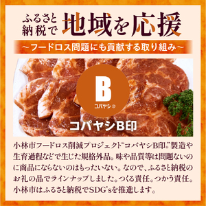 【旨味凝縮！】お肉屋さんの宮崎ポーク熟成味噌漬け 10枚（国産 肉 豚肉 国産豚 ロース ポーク 味噌漬け 小分け ステーキ 冷凍）