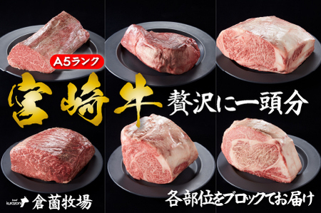 【倉薗牧場直送】長期育成牛・小林市産くらぞの宮崎牛A5等級　一頭セット 宮崎牛A5等級一頭 セット 宮崎牛 牛肉ブロック