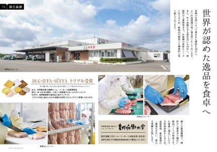 【毎月数量限定受付】国産 豚 みやざきブランドポーク バラスライス　2キロ（国産 豚肉 豚バラ肉 生姜焼き 焼肉 スライス 限定 小分け 宮崎 冷凍）