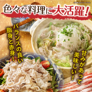 【4月発送・毎月数量限定受付】国産 豚 みやざきブランドポーク バラスライス　2キロ（国産 豚肉 豚バラ肉 生姜焼き 焼肉 スライス 限定 小分け 宮崎 冷凍）