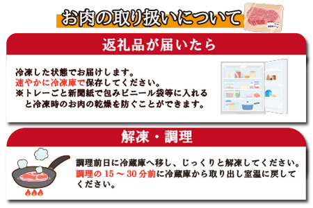 【おためし特別提供品】宮崎牛赤身ステーキ　おためしファミリーパック（おためし 牛肉 黒毛和牛 和牛 ステーキ 赤身 モモ 宮崎牛 ブランド牛）