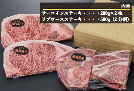 【A4等級以上】黒毛和牛ステーキ肉高級部位２種＜リブロース・サーロイン＞食べ比べ（計900ｇ）