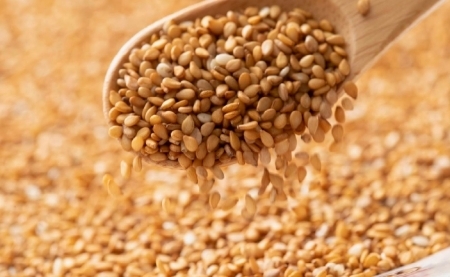 【添加物不使用のコールドプレス製法】こだわり素材のフレッシュオイル3本セット（ひまわり・えごま・金ごま） ごま油 オイル 食用油 ごま油 オイル 食用油 ごま油 オイル 食用油