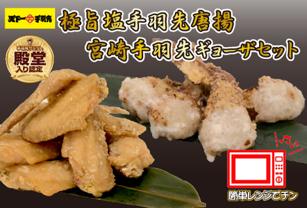 【レンジでチンするだけ♪】極旨塩手羽先唐揚げ 宮崎手羽ギョーザ セット（鶏肉 手羽先 手羽 唐揚げ 餃子 ギョウザ 調理済み 冷凍 人気）