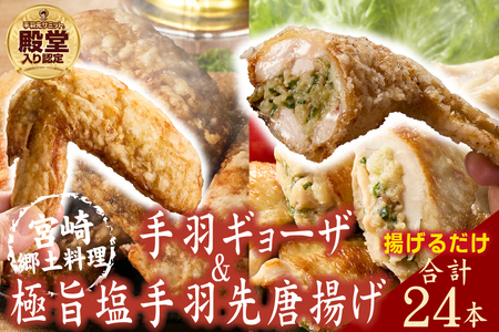 【手羽先サミット殿堂入り！】極旨塩 手羽先 唐揚げ 手羽ギョーザ セット 計24本（国産 鶏肉 手羽先 ギョウザ 餃子 塩 味付き 人気）