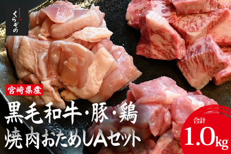 宮崎県産 牛・豚・鶏 焼肉おためしAセット 計1kg（牛肉 豚肉 鶏肉 和牛 焼肉 訳あり 小分け 食べ比べ）