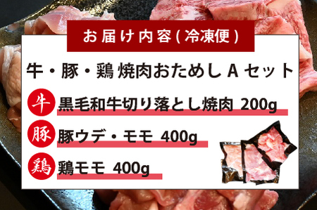 宮崎県産 牛・豚・鶏 焼肉おためしAセット 計1kg（牛肉 豚肉 鶏肉 和牛 焼肉 訳あり 小分け 食べ比べ）