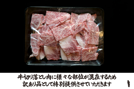 宮崎県産 牛・豚・鶏 焼肉おためしAセット 計1kg（牛肉 豚肉 鶏肉 和牛 焼肉 訳あり 小分け 食べ比べ）