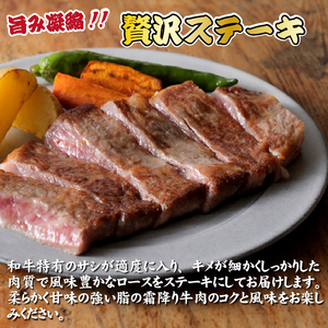 【内閣総理大臣賞受賞】A4等級以上 宮崎牛 ロースステーキ 500g（牛肉 黒毛和牛 畜産農家応援 ロース ステーキ 赤身 数量限定） ステーキ 和牛ステーキ 牛肉ステーキ 国産ステーキ ロースステーキ