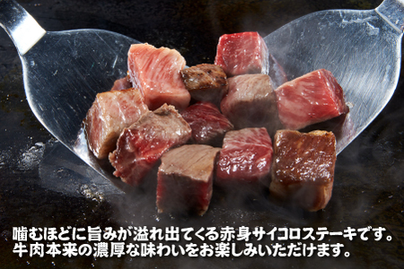 【和牛レストラン仕様】宮崎和牛 赤身 サイコロ 1kg 牛肉 肉 宮崎 宮崎県 黒毛和牛 サイコロステーキ ステーキ 赤身 和牛 ステーキ 和牛ステーキ 牛肉ステーキ 国産ステーキ サイコロステーキ