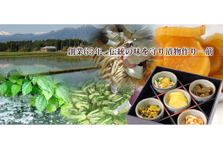 【天然湧水仕込み】えびの漬けセット『生駒』(計6品) 漬物 漬物