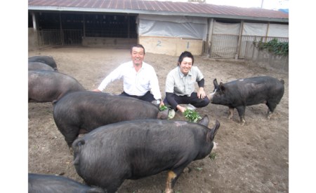 【ブランド黒豚】桑水流黒豚みそ漬＆ミニハンバーグセット 計460g（豚肉 味噌漬け ハンバーグ)