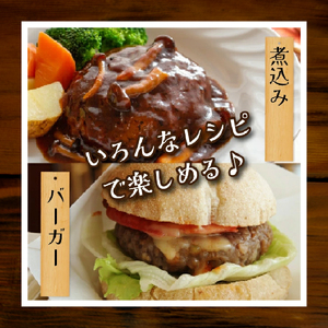 黒毛和牛専門店の宮崎県産黒毛和牛ハンバーグ 19個 (牛肉 訳あり 惣菜 ハンバーグ 個包装 小分け 冷凍 人気) ハンバーグ 和牛ハンバーグ 黒毛和牛ハンバーグ 大人気ハンバーグ ハンバーグ